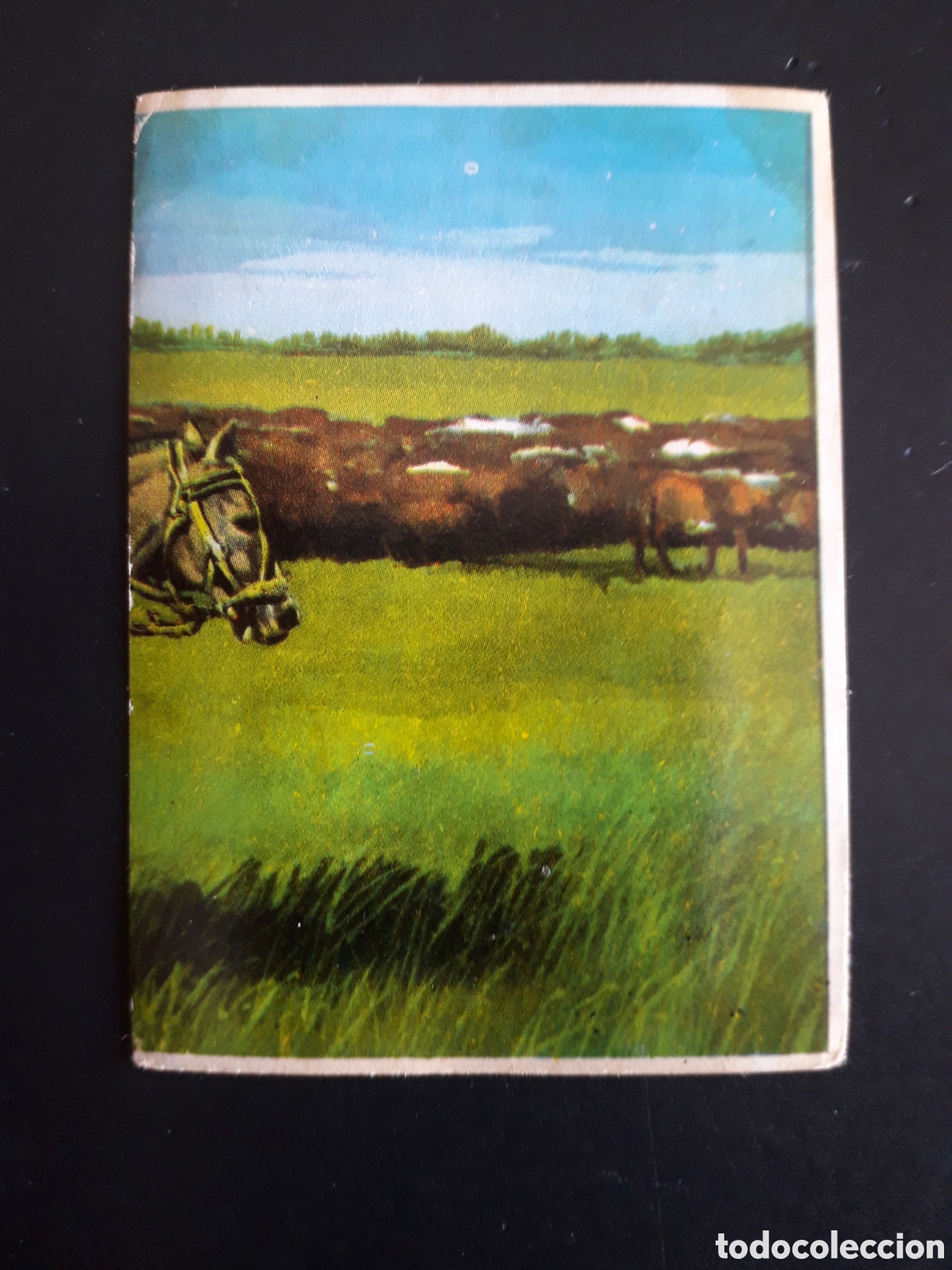 Coleccionismo cromos antiguos: LA PAMPA, ARGENTINA. LA VUELTA AL MUNDO CON BIMBO 1966 N&deg; 33 SIN PEGAR, PEDIDO M&Iacute;NIMO 3&euro;