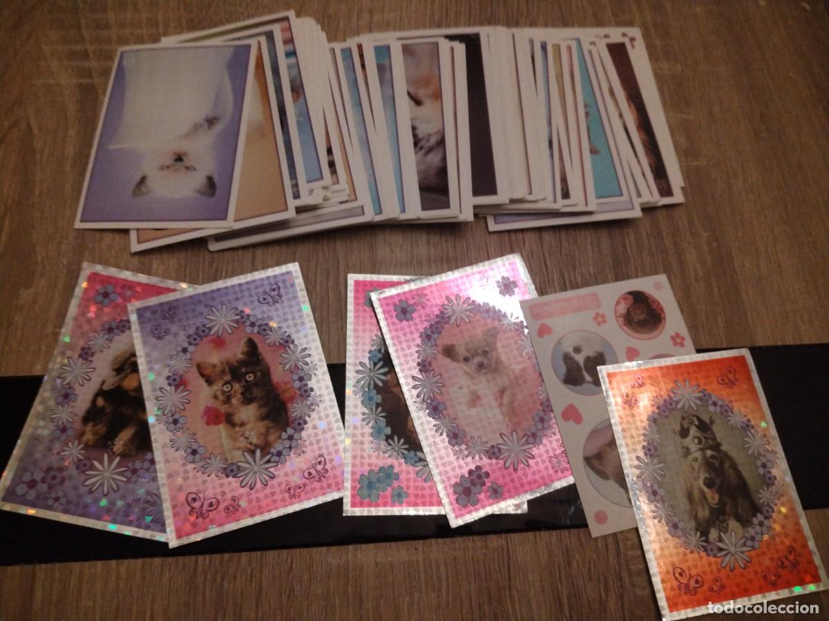 Coleccionismo cromos antiguos: Animalitos divertidos-lotes de cromos diferentes