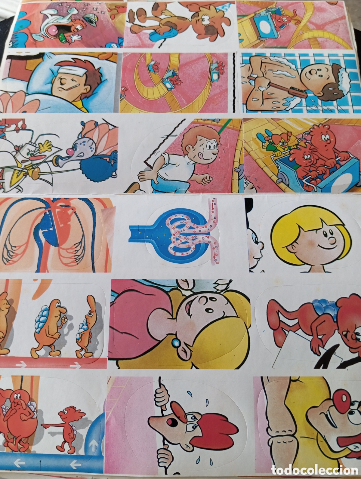 Coleccionismo cromos antiguos: Lote 198 cromos (10 hojas) de &Eacute;rase una vez el Cuerpo Humano.