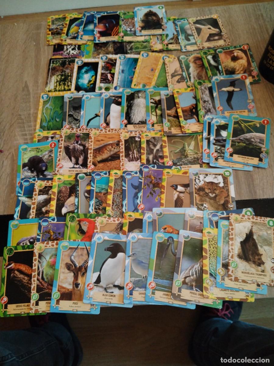 Coleccionismo cromos antiguos: Rewild -lotes de 66cartas diferentes