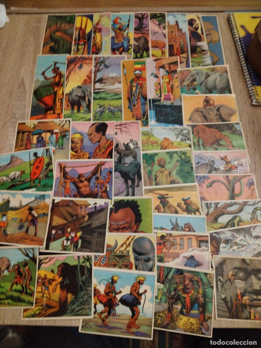 Coleccionismo cromos antiguos: &Aacute;frica y sus habitantes-;lote de 100 cromos diferentes