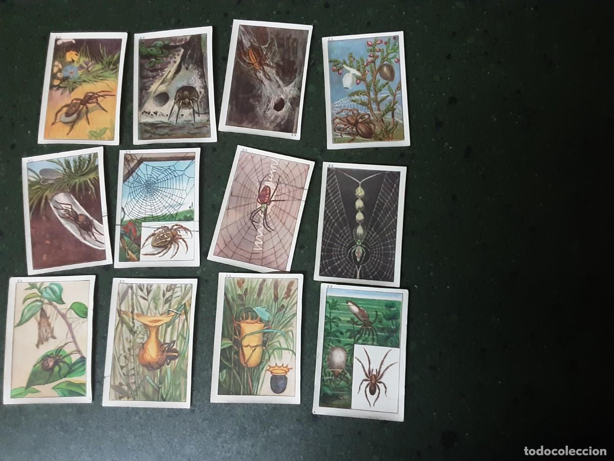 Coleccionismo cromos antiguos: LAS INGENIOSIDADES DE LAS ARA&Ntilde;A SERIE 21 COMPLETA, 12 CR. LAS MARAVILLAS DEL MUNDO, NESTLE