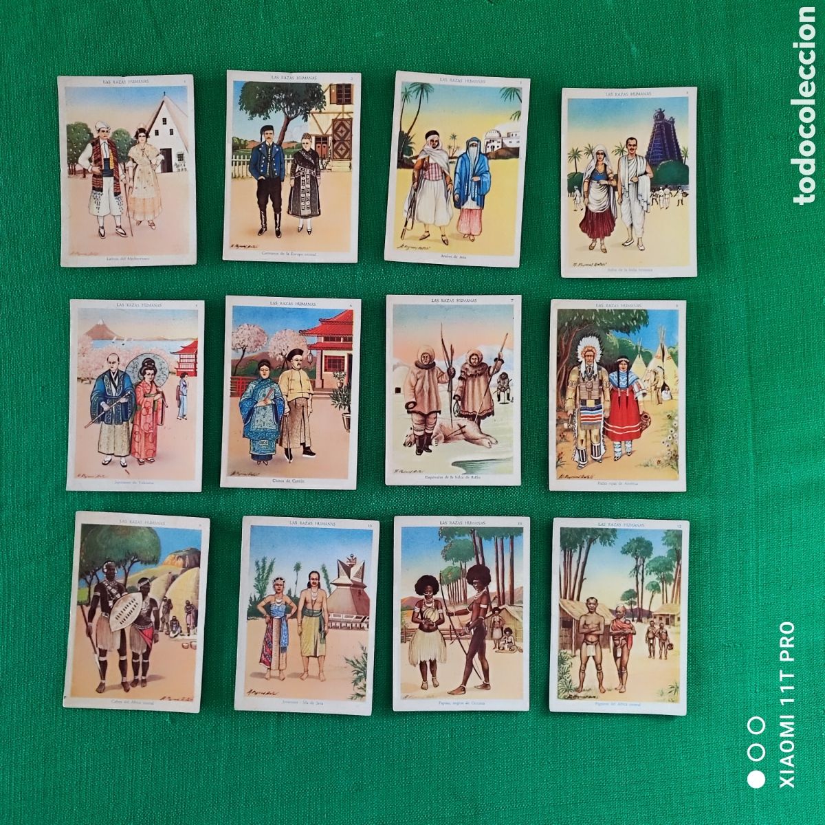 Coleccionismo cromos antiguos: Colecci&oacute;n de 12 cromos, la razas humanas chocolates selectos Evaristo Juncosa.