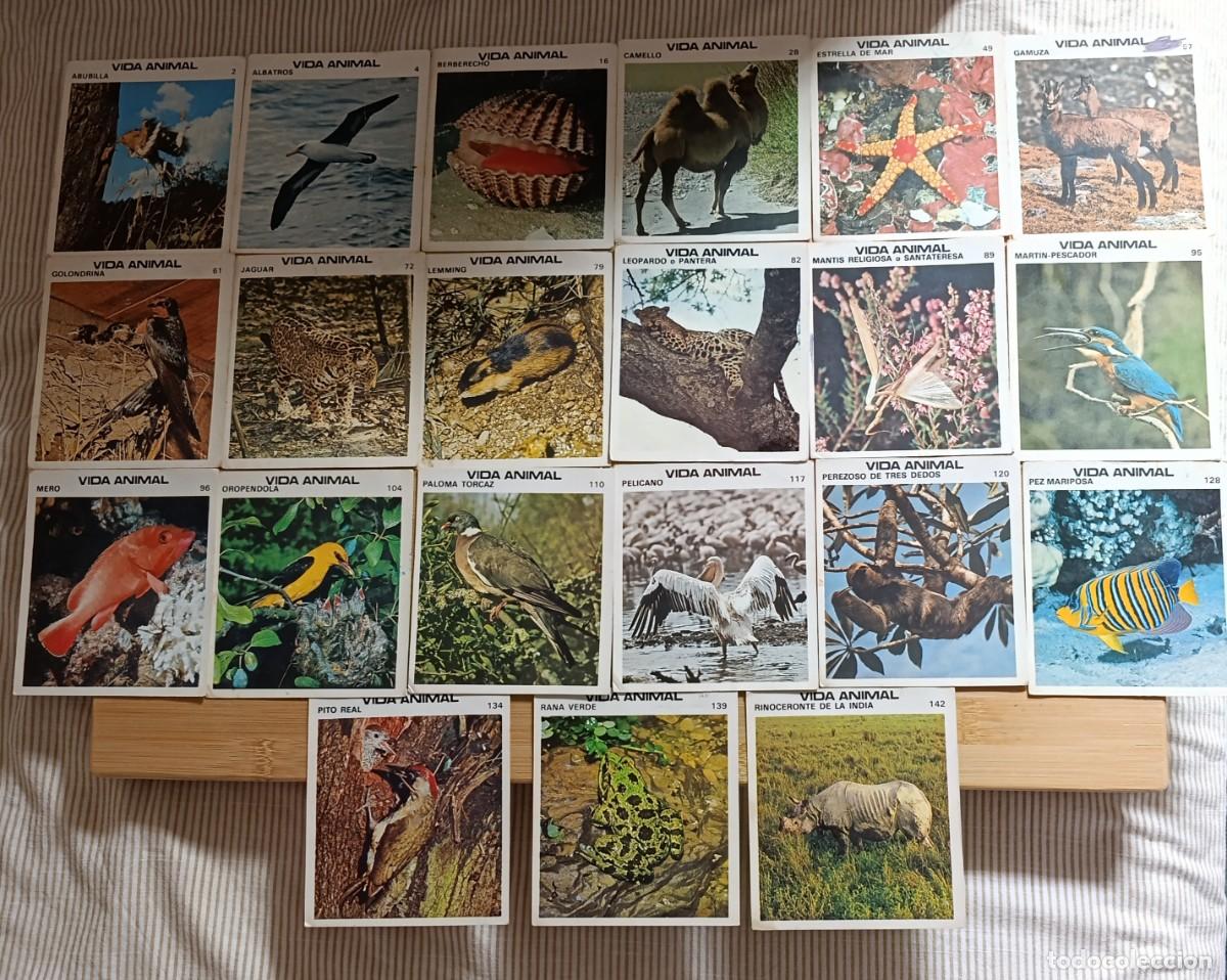 Coleccionismo cromos antiguos: Lote 21 Cromos Diferentes Vida Animal (1981) Editorial Fher