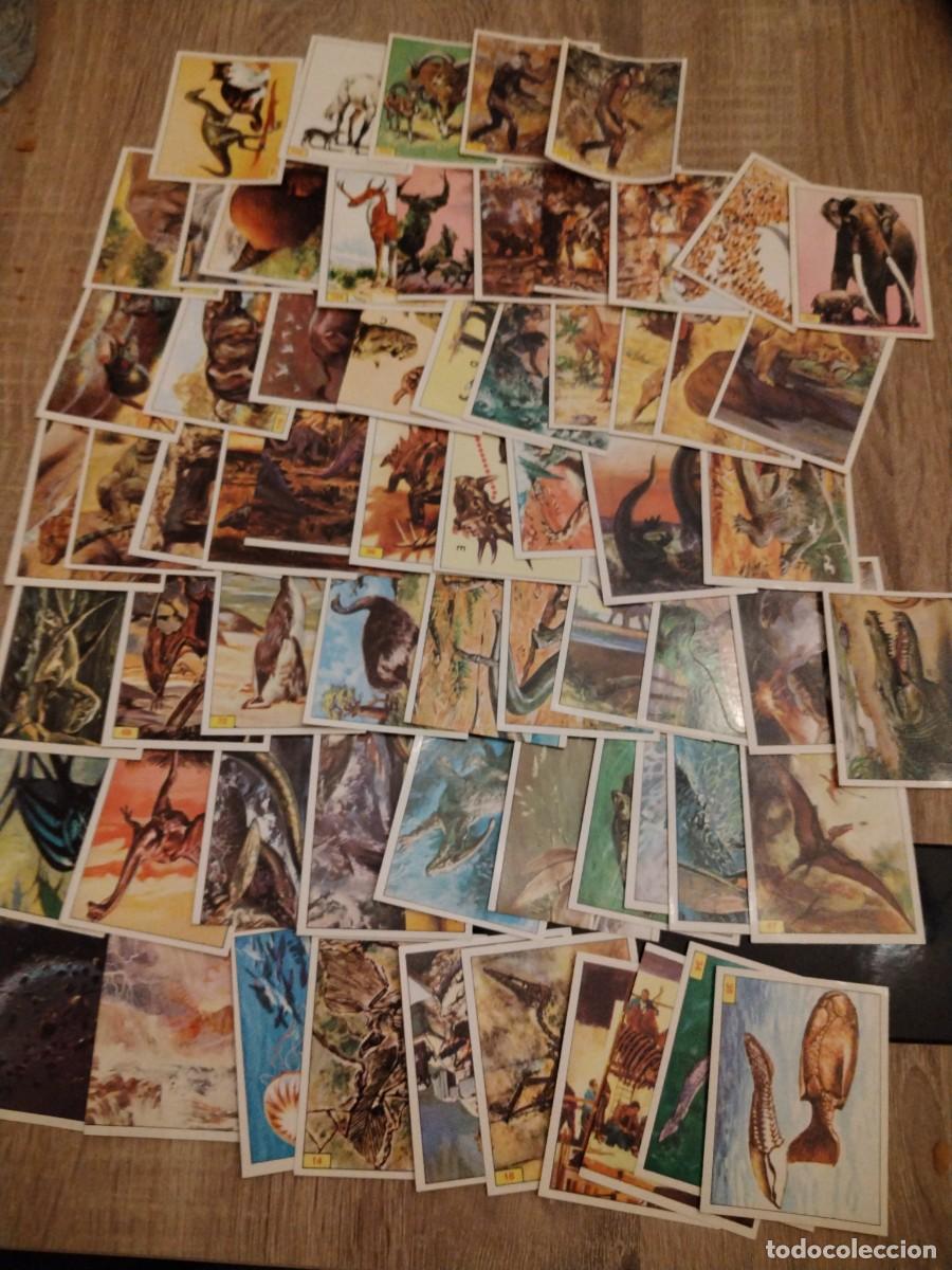 Coleccionismo cromos antiguos: Dinosaurios+ flota de sesenta y cinco cromos diferentes nuevos