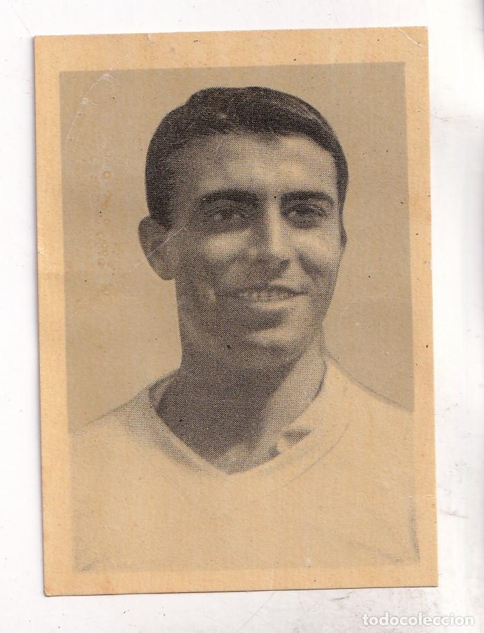 Coleccionismo cromos antiguos: SAMPEDRO. REAL SANTANDER. DEL &Aacute;LBUM F&Uacute;TBOL JUGADORES 1&ordf; DIVISI&Oacute;N 1960 - 1961