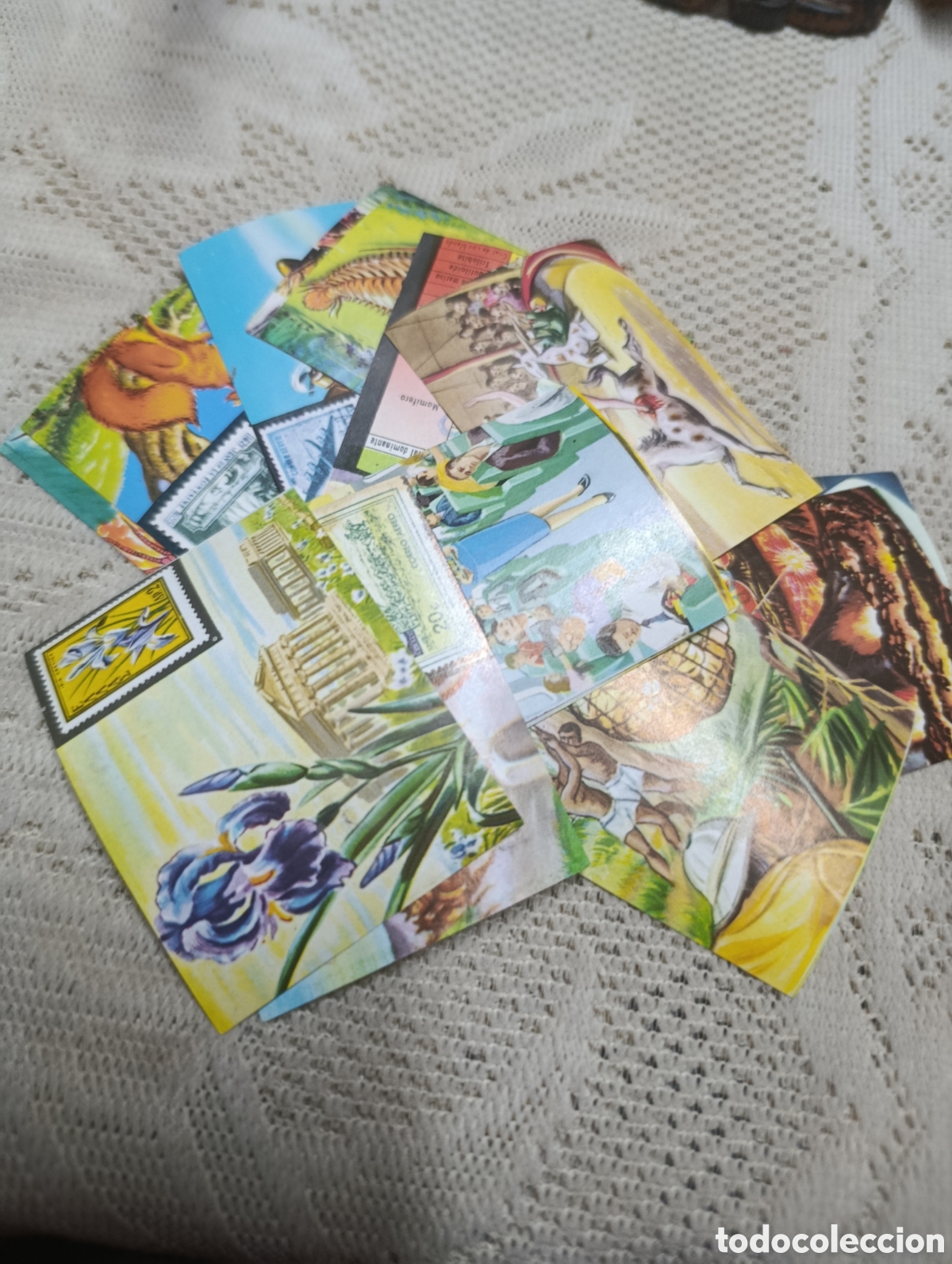 Coleccionismo cromos antiguos: Lote de 16 cromos chocolate santa juliana. Conozcamos el mundo