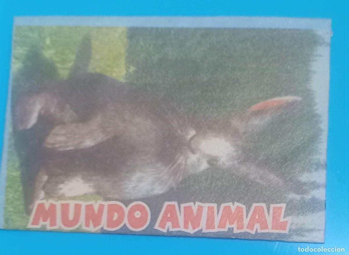 Coleccionismo cromos antiguos: Sobre Cromos Album MUNDO ANIMAL. Peru.