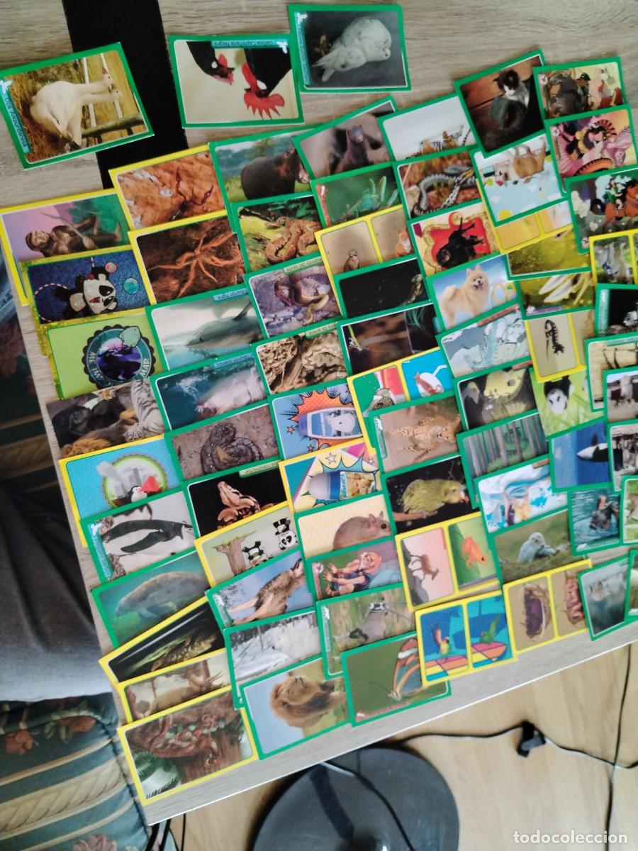 Coleccionismo cromos antiguos: El gran &aacute;lbum del mundo animal 2014- animales-Lote de 73 cromos