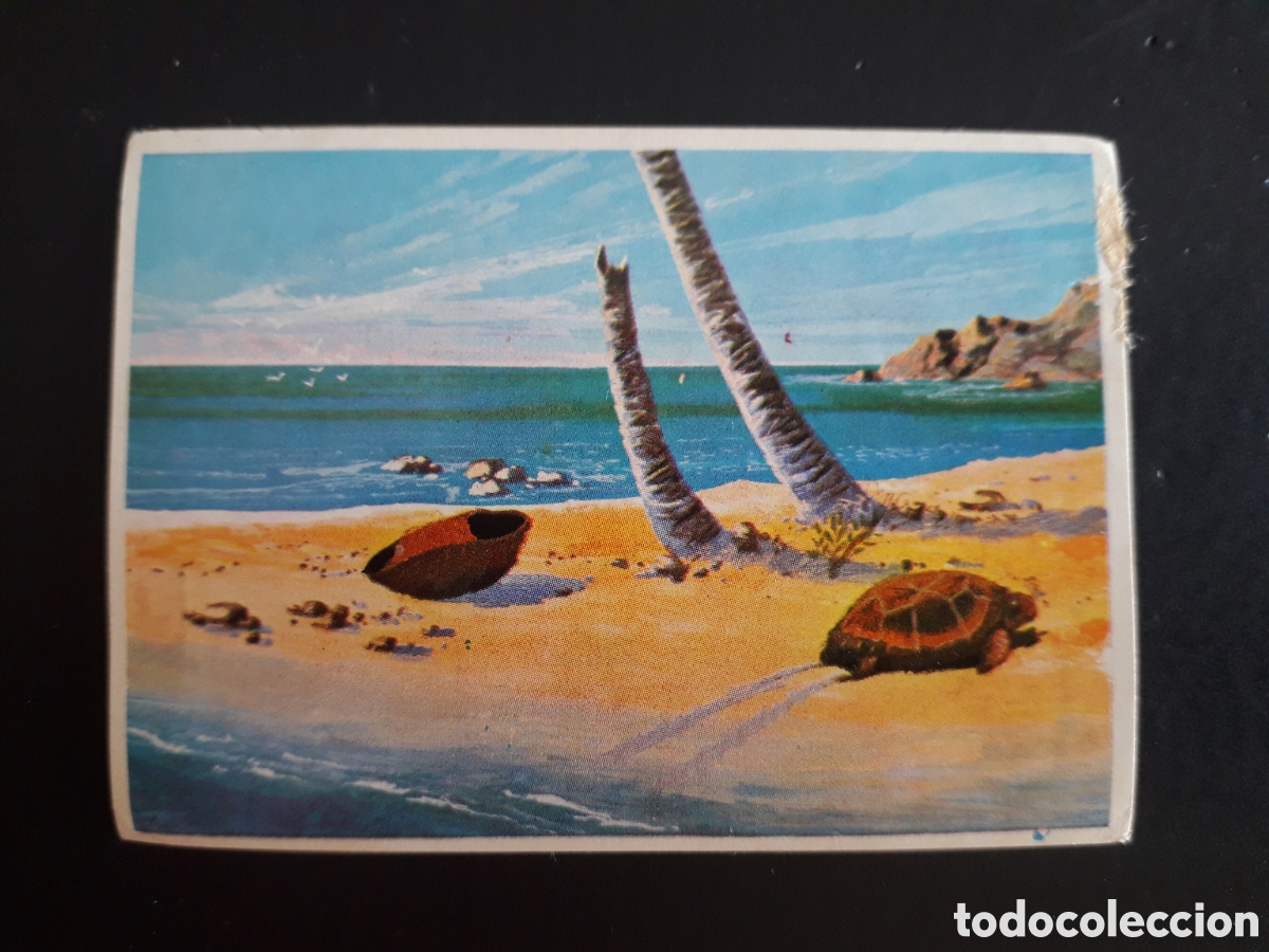 Coleccionismo cromos antiguos: ATOL&Oacute;N DE BIKINI. LA VUELTA AL MUNDO CON BIMBO 1966 N&deg; 115 DESPEGADO, PEDIDO M&Iacute;NIMO 3&euro;