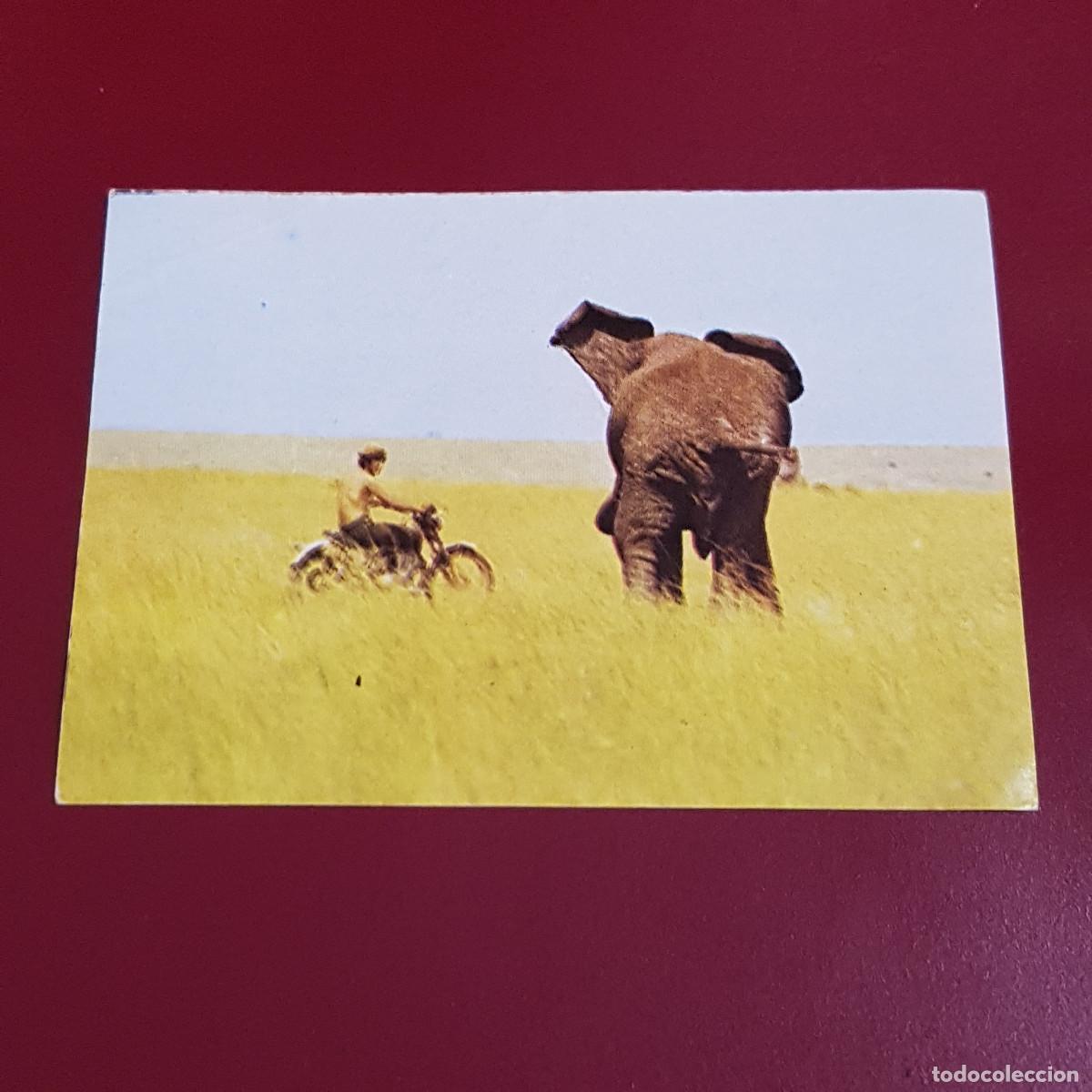 Coleccionismo cromos antiguos: BIMBO - EL MUNDO DE LAS MOTOS - SABANA AFRICANA 111 - NUNCA PEGADO