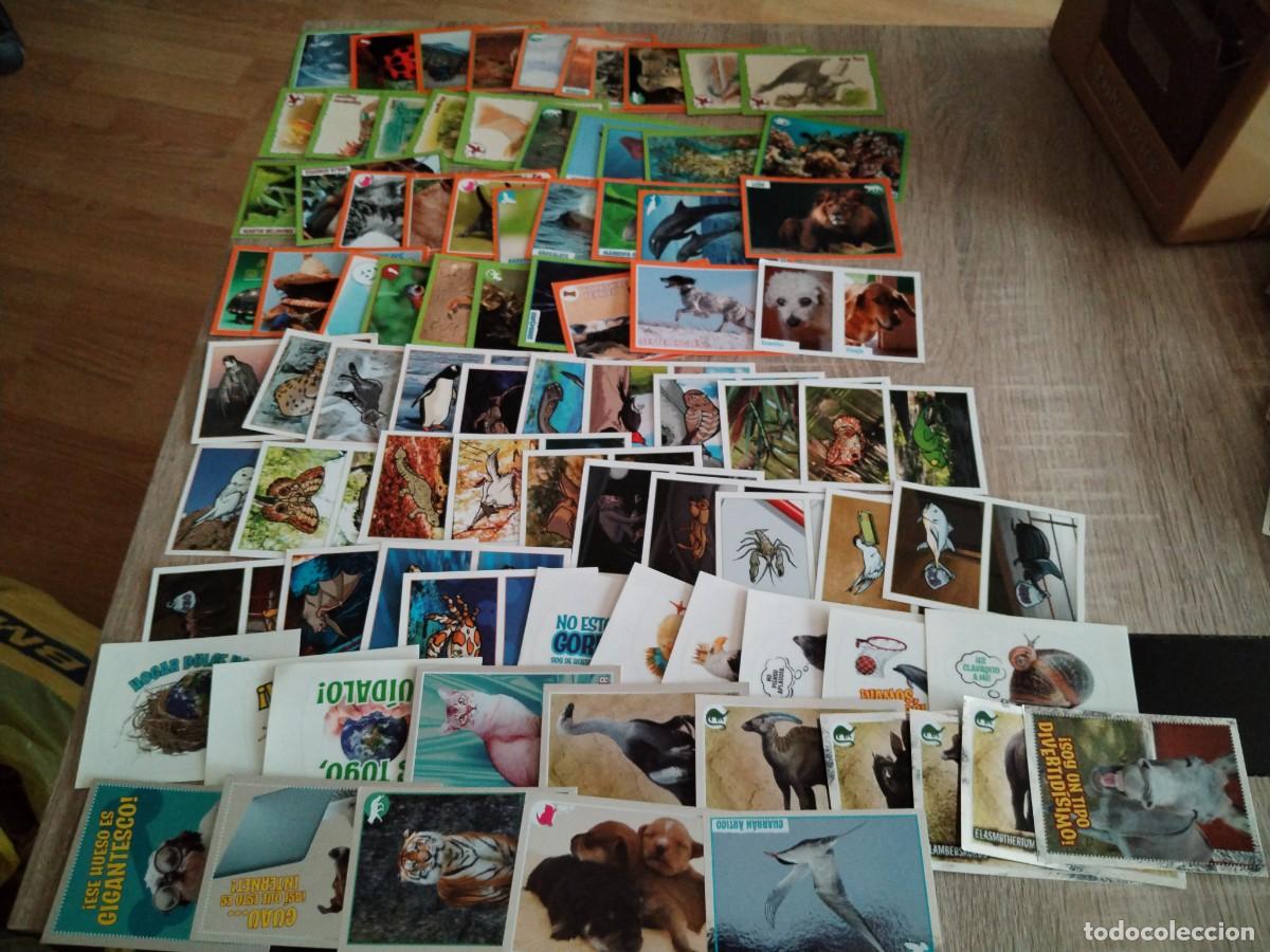 Coleccionismo cromos antiguos: El gran &aacute;lbum del mundo animal 2012- animales-