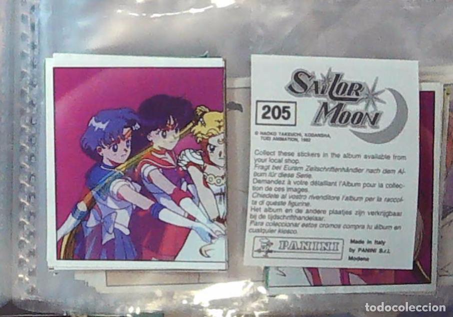 Coleccionismo cromos antiguos: SAILOR MOON PANINI NUNCA PEGADO N 205