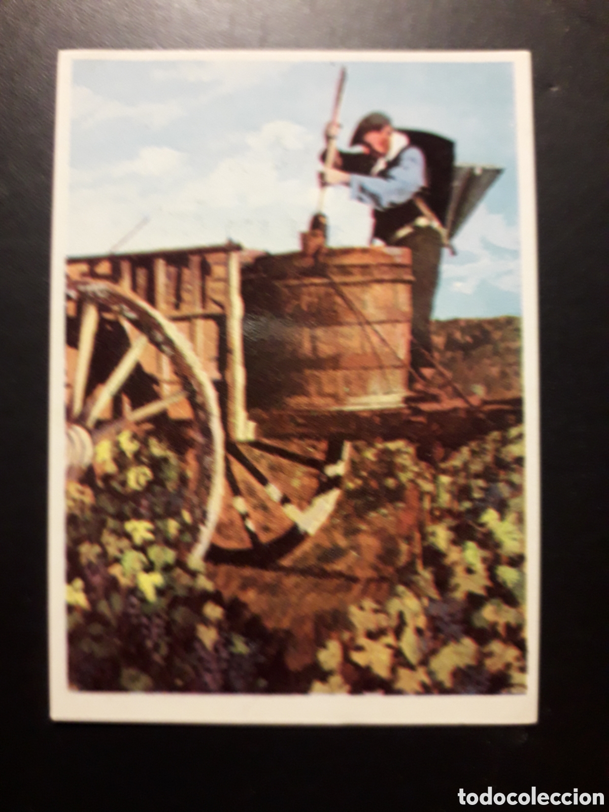 Coleccionismo cromos antiguos: VI&Ntilde;EDOS, LA VUELTA AL MUNDO CON BIMBO 1966 N&deg; 269 SIN PEGAR, PEDIDO M&Iacute;NIMO 3&euro;