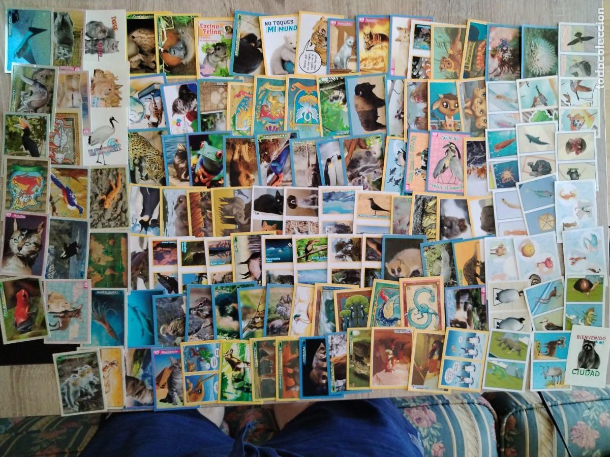 Coleccionismo cromos antiguos: El gran &aacute;lbum del mundo animal 2013- animales-