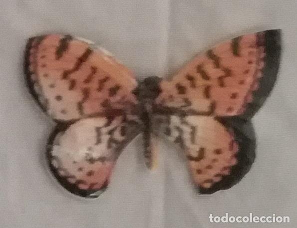 Coleccionismo cromos antiguos: Cromo n&ordm; 40 del album Las cien mariposas mas bellas del mundo, Panrico