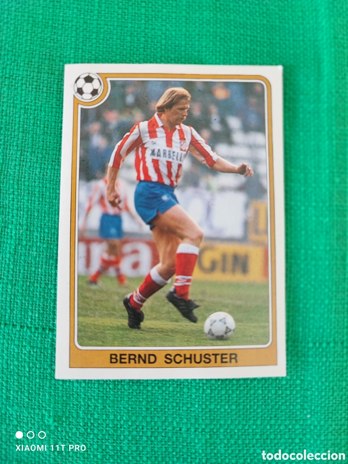 Coleccionismo cromos antiguos: Cromo Bernd Schuster liga 92-93 n&deg; 142.
