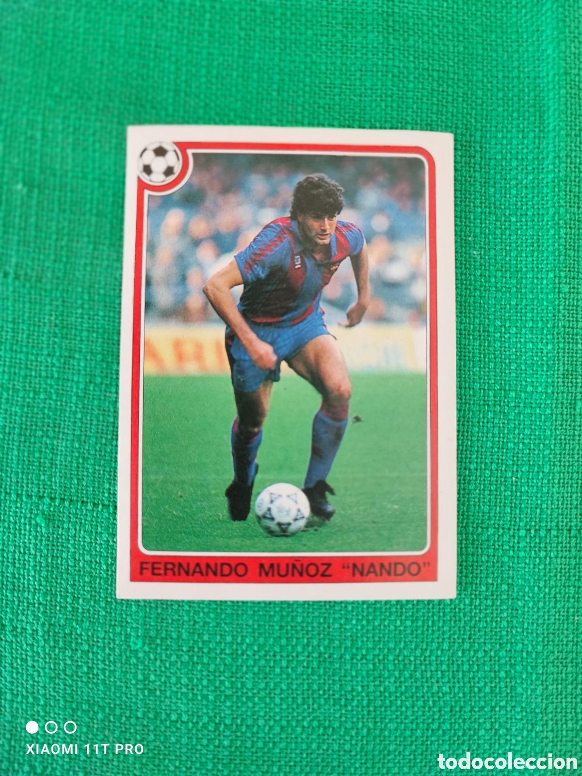 Coleccionismo cromos antiguos: Cromo Fernando Mu&ntilde;oz &rdquo; Nando &rdquo;liga 92-94 n&deg; 65.