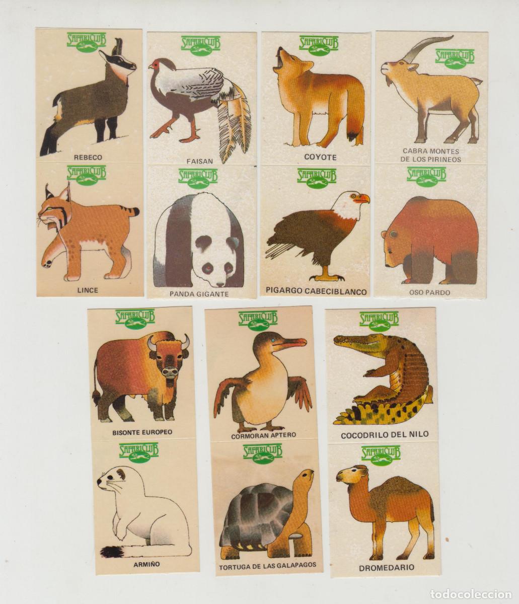 Coleccionismo cromos antiguos: Lote 14 cromos / adhesivos / pegatinas diferentes animales salvajes SAFARI CLUB, a&ntilde;os 80