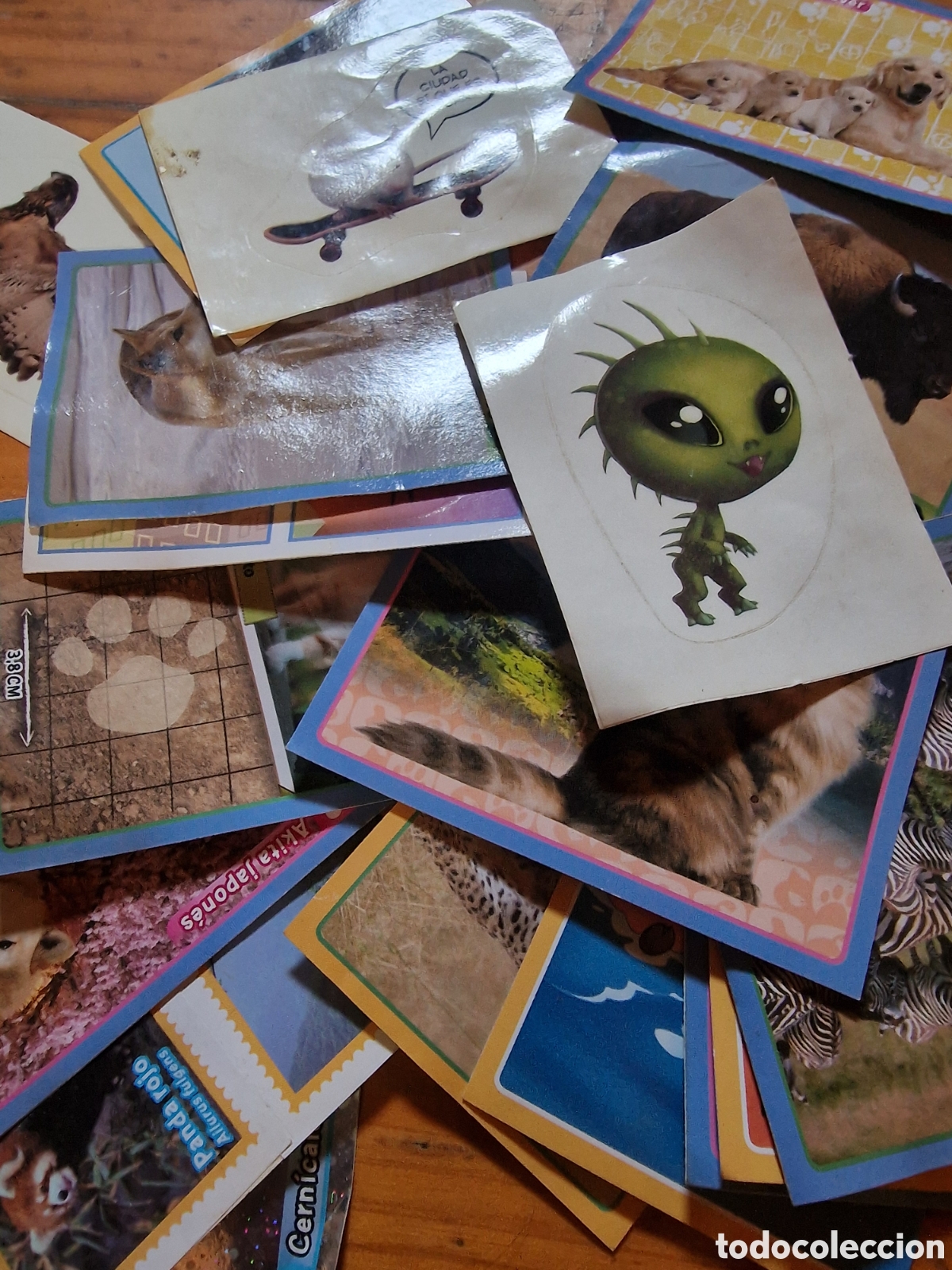 Coleccionismo cromos antiguos: Lote 17 cromos &aacute;lbum animales 2013,panini