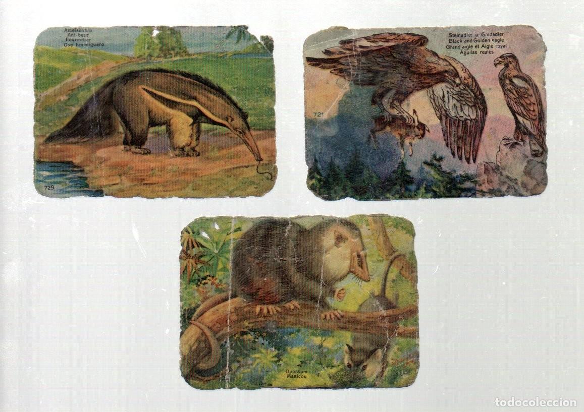 Coleccionismo cromos antiguos: 3 ANTIGUOS CROMOS, CHOCOLATES NELIAS - GALLETAS, BARCELONA.