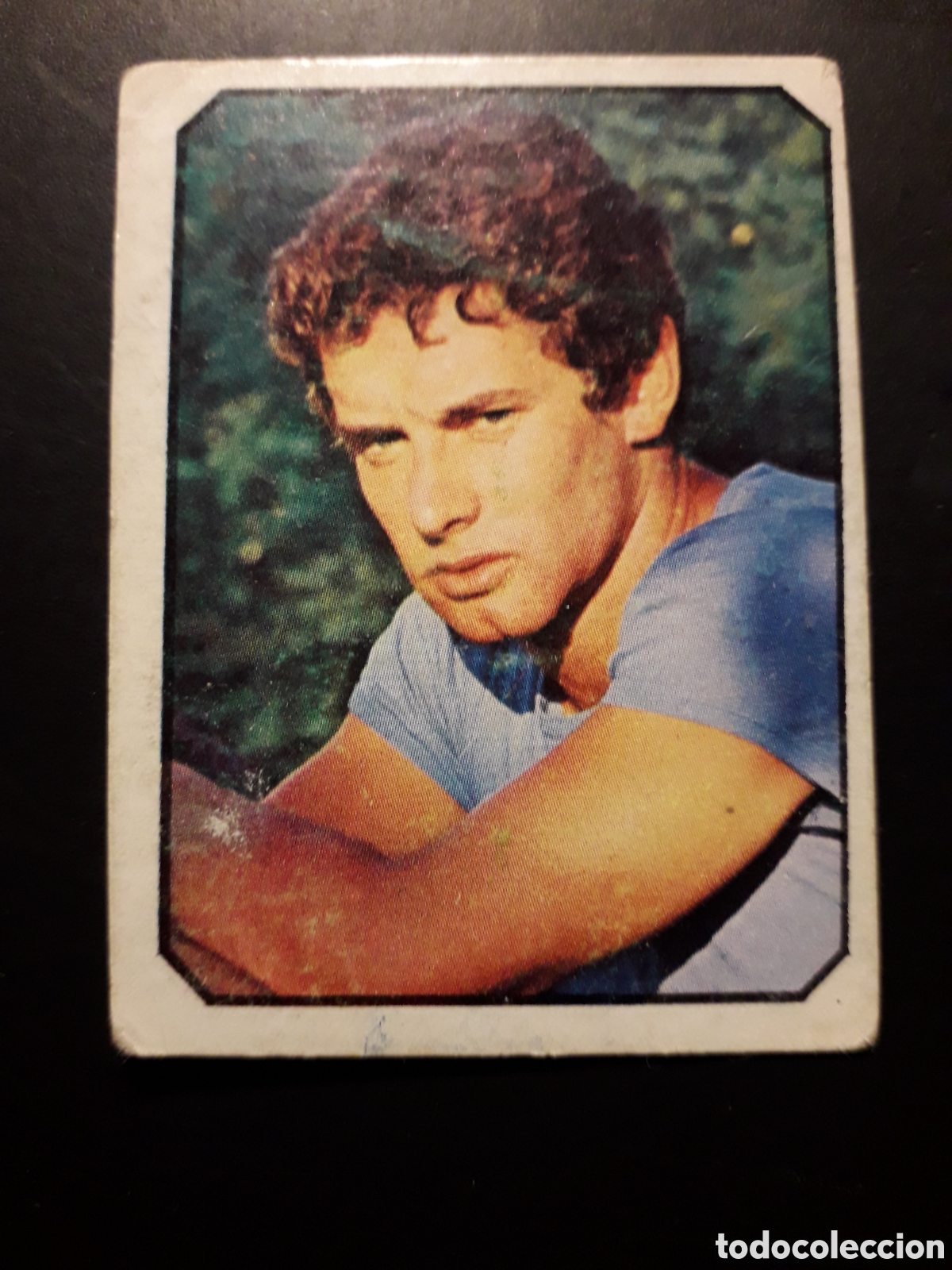 Coleccionismo cromos antiguos: DAVID CARPENTER N&deg; 176 ALBUM FANS ED ESTE 1976 SIN PEGAR PEDIDO M&Iacute;NIMO 3&euro;