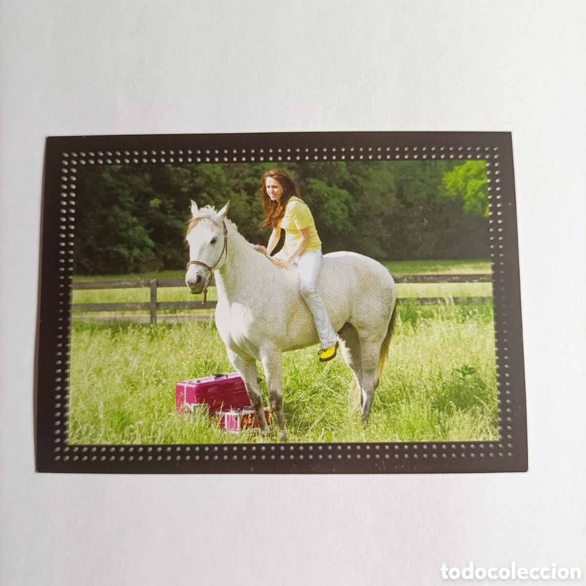 Coleccionismo cromos antiguos: STICKER PANINI 2009.HANNAH MONTANA THE MOVIE. №48