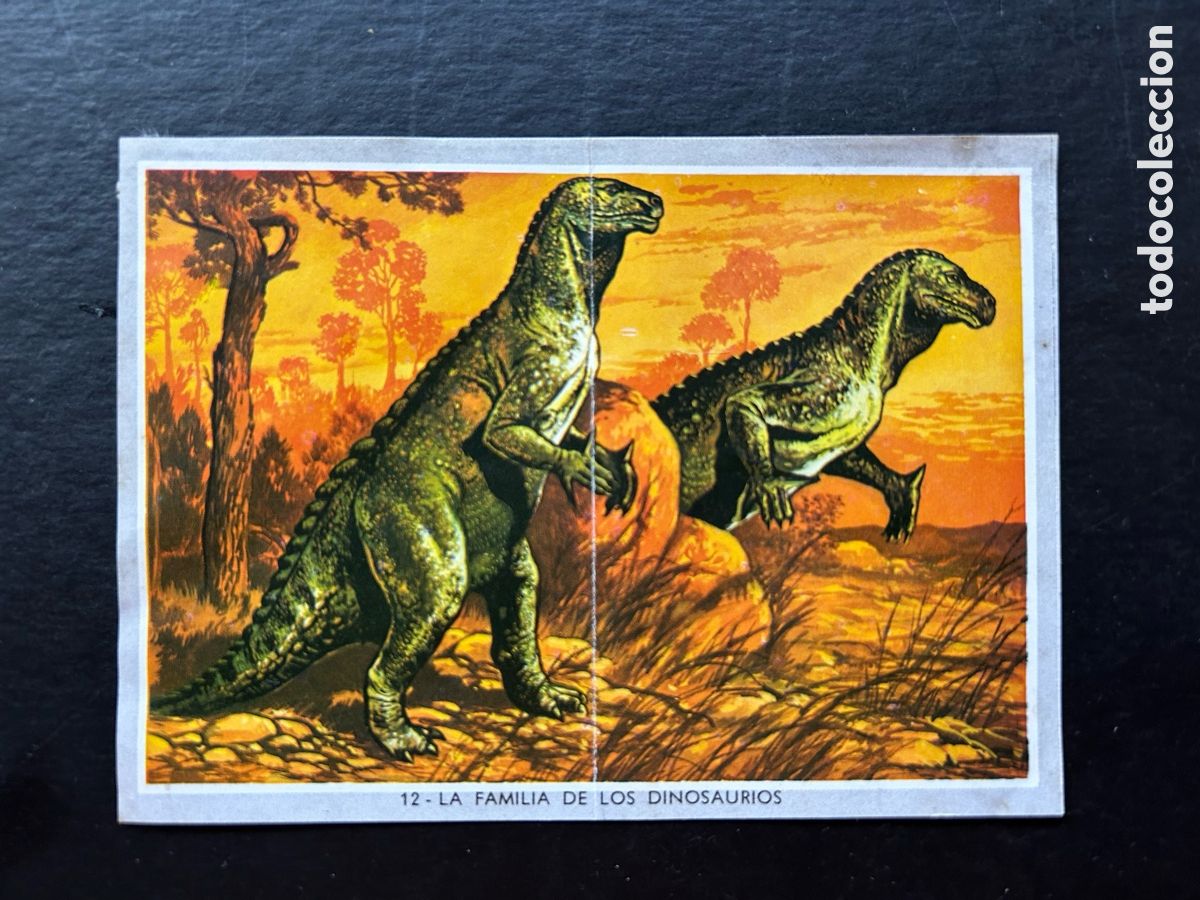 Sammeln alte Sammelbilder: VIDA Y COLOR 2 MIDI (MEDIANO) ALBUM 1969. CROMOS 8,5 X 6 CM. (DESPEGADO) CROMO N&ordm; 12