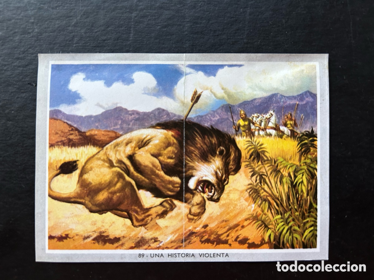 Sammeln alte Sammelbilder: VIDA Y COLOR 2 MIDI (MEDIANO) ALBUM 1969. CROMOS 8,5 X 6 CM. (DESPEGADO) CROMO N&ordm; 89
