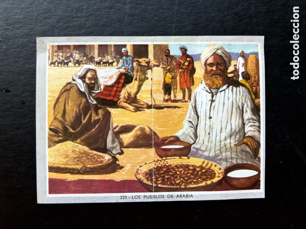 Sammeln alte Sammelbilder: VIDA Y COLOR 2 MIDI (MEDIANO) ALBUM 1969. CROMOS 8,5 X 6 CM. (DESPEGADO) CROMO N&ordm; 221