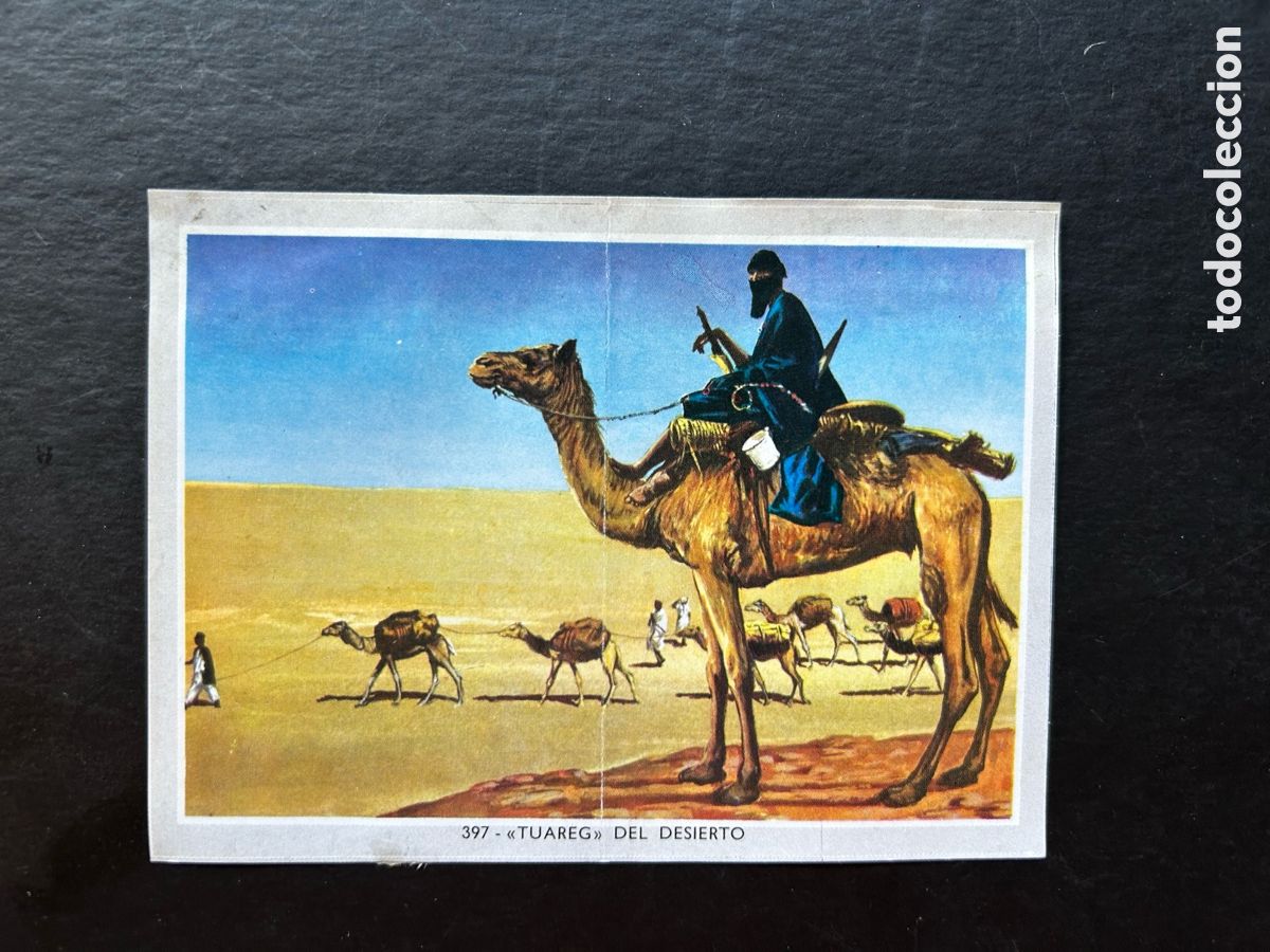 Sammeln alte Sammelbilder: VIDA Y COLOR 2 MIDI (MEDIANO) &Aacute;LBUM 1969. CROMOS 8,5 X 6 CM. (DESPEGADO) CROMO N&ordm; 397