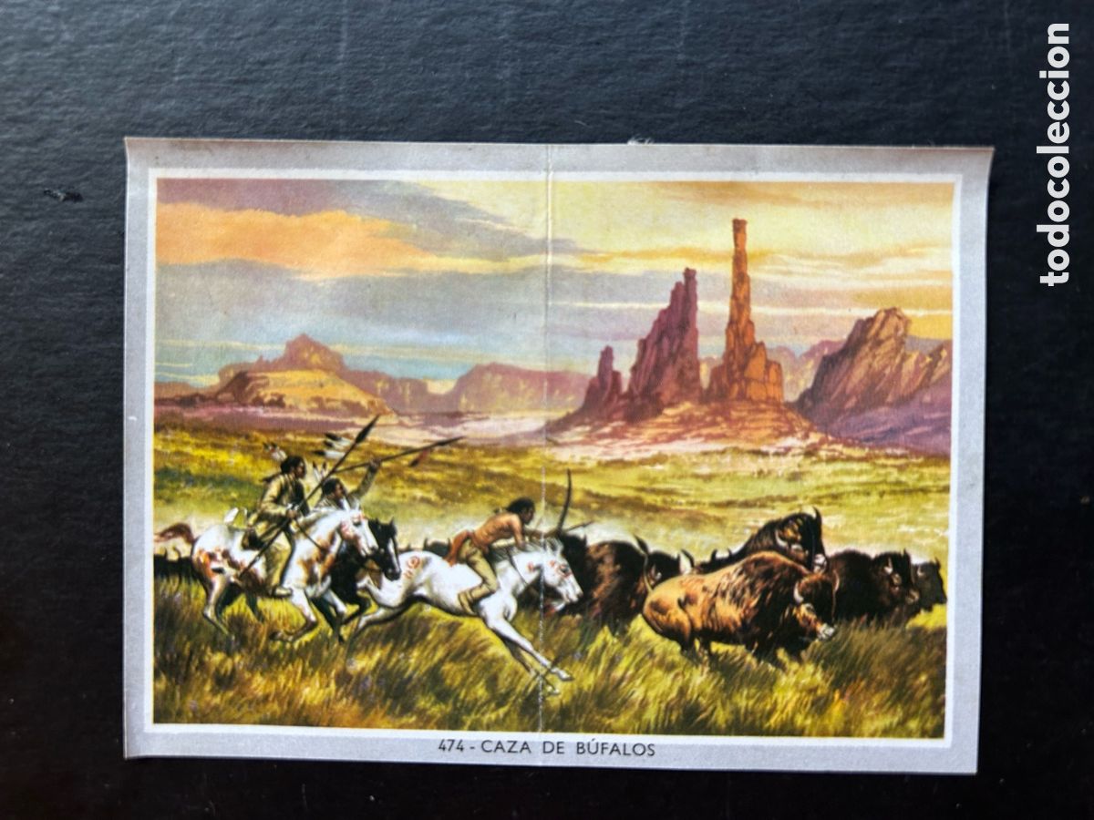 Sammeln alte Sammelbilder: VIDA Y COLOR 2 MIDI (MEDIANO) &Aacute;LBUM 1969. CROMOS 8,5 X 6 CM. (DESPEGADO) CROMO N&ordm; 474