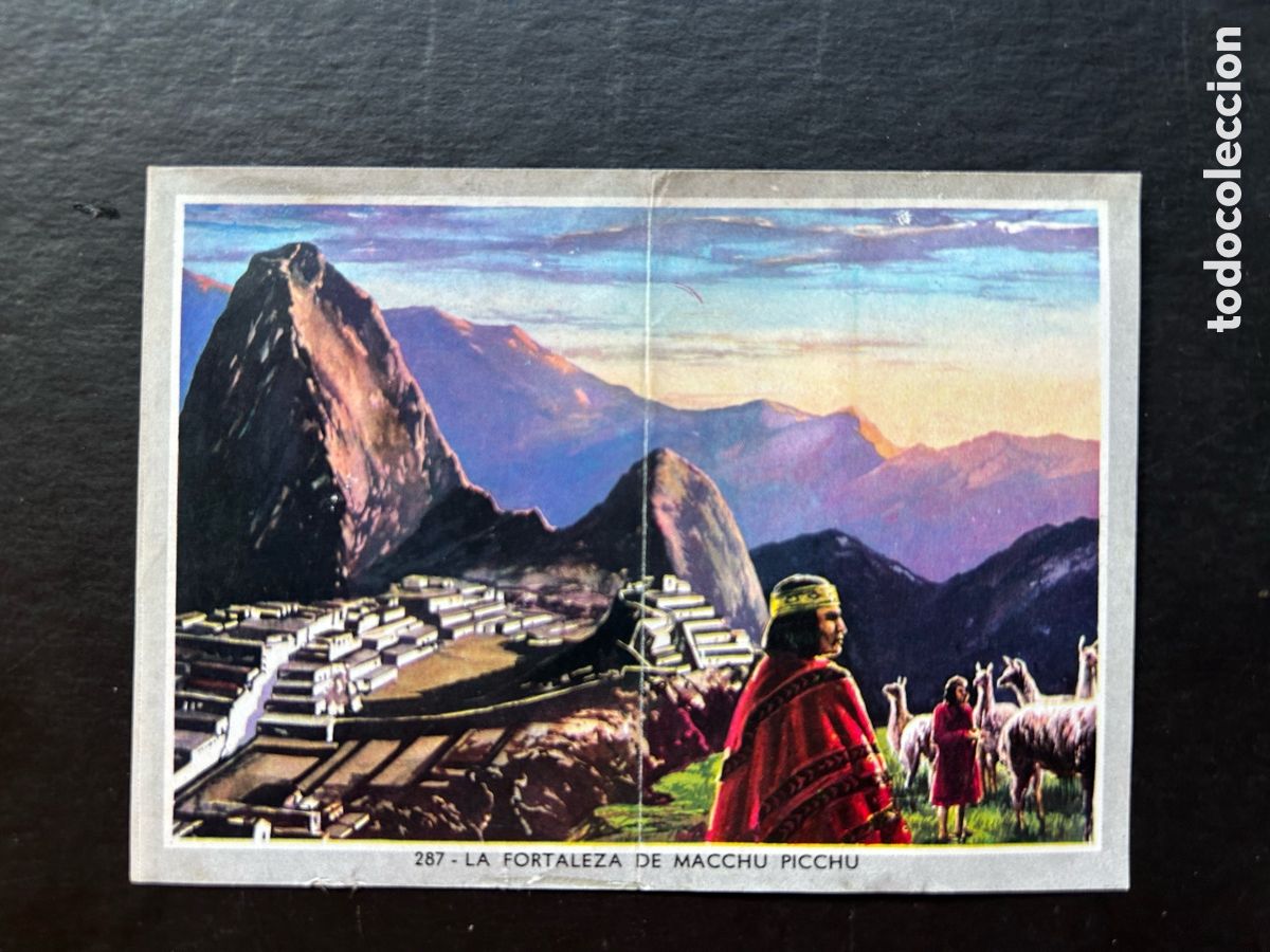 Sammeln alte Sammelbilder: VIDA Y COLOR 2 MIDI (MEDIANO) ALBUM 1969. CROMOS 8,5 X 6 CM. (DESPEGADO) CROMO N&ordm; 287