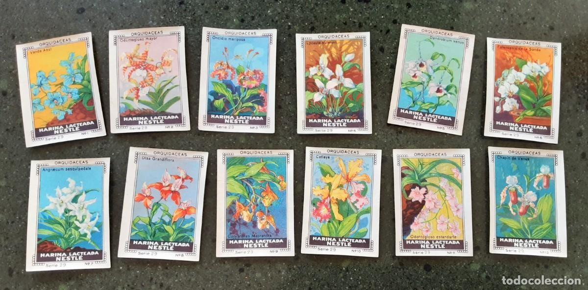 Coleccionismo cromos antiguos: Orquidaceas, serie 29 completa de 12 cromos Nestl&eacute;