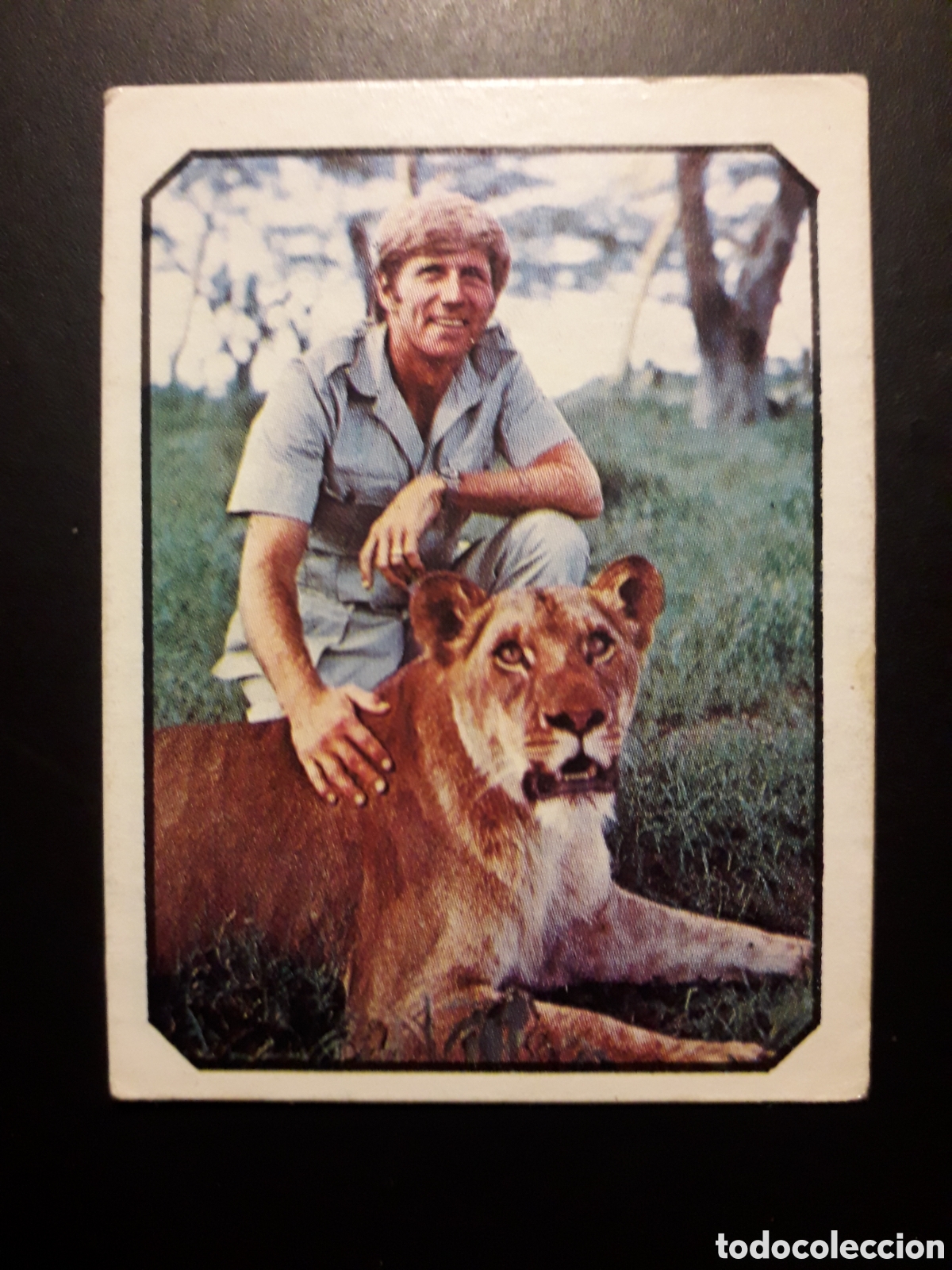 Coleccionismo cromos antiguos: GARY COLLINS, NACIDA LIBRE N&deg; 5 ALBUM FANS ED ESTE 1976 SIN PEGAR PEDIDO M&Iacute;NIMO 3&euro;
