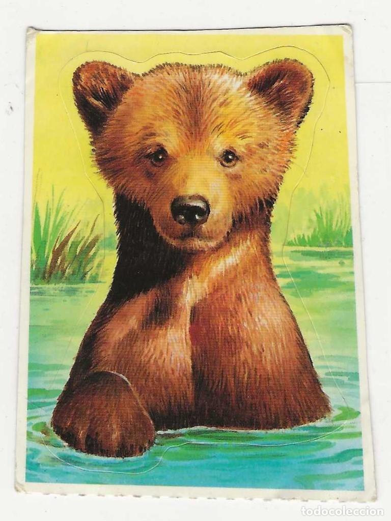Coleccionismo cromos antiguos: BOLLYCAO -- FAUNA EN PELIGRO -- N&ordm;1 OSO PARDO