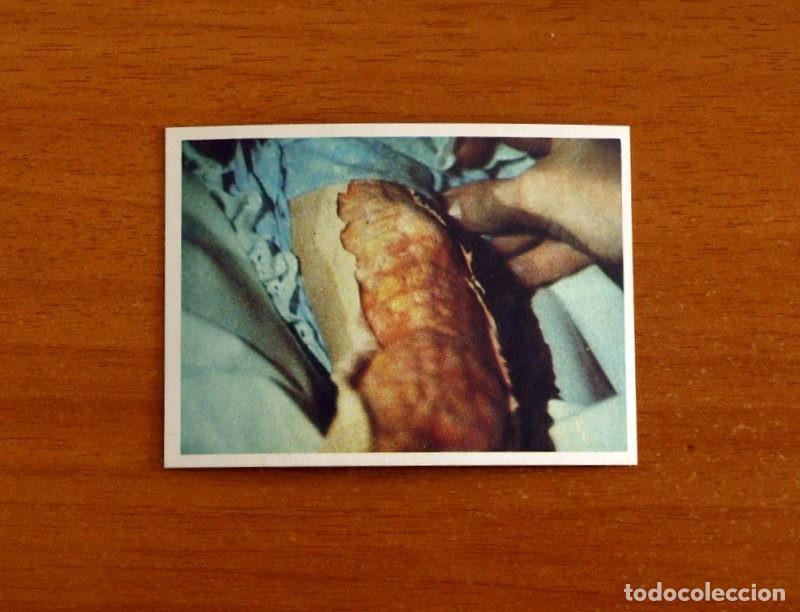 Coleccionismo cromos antiguos: Cromo n&ordm; 238 - De la serie de Televisi&oacute;n V Los Visitantes - Editorial Maga A&ntilde;o 1984 - Nunca pegado
