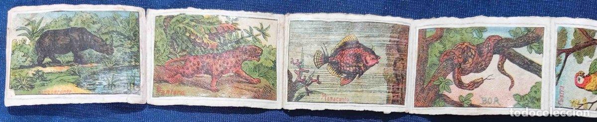 Coleccionismo cromos antiguos: COLECCI&Oacute;N DE 12 CROMOS DE ANIMALES. FINAL DEL XIX O PRINCIPIOS DEL XX.