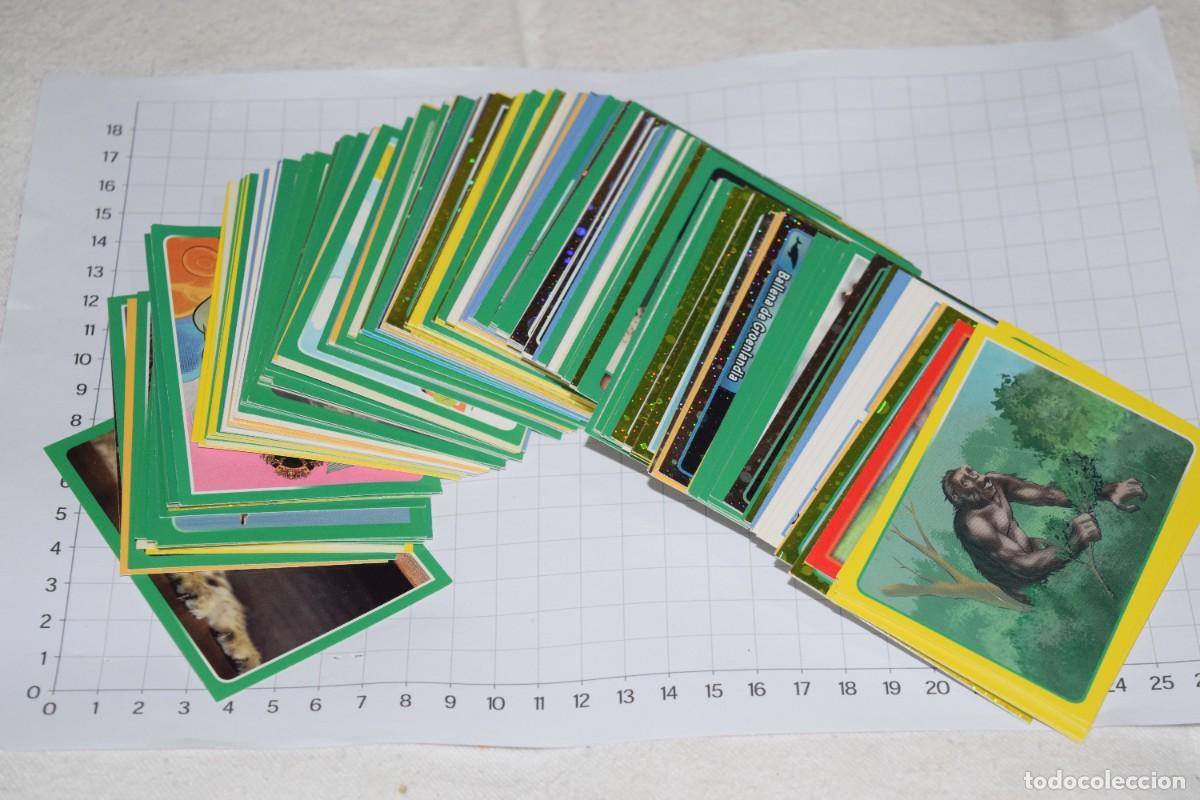 Coleccionismo cromos antiguos: El Gran &Aacute;lbum del Mundo de los Animales, 2013 y 2014 PANINI - 250 Cromos adhesivos &iexcl;Mira fotos, NOS!