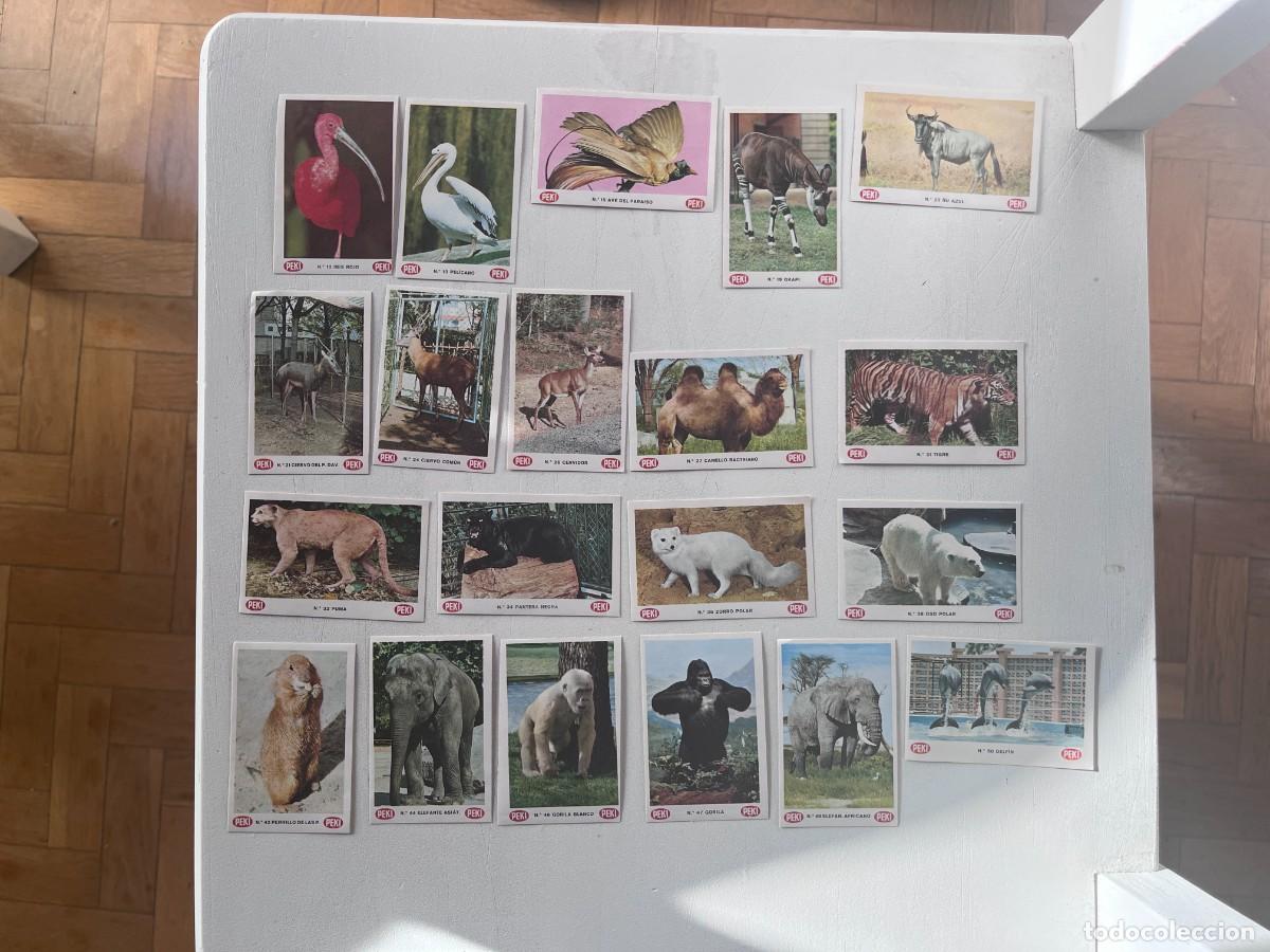 Coleccionismo cromos antiguos: 20 cromos ANIMALES EN EL ZOO - PEKI