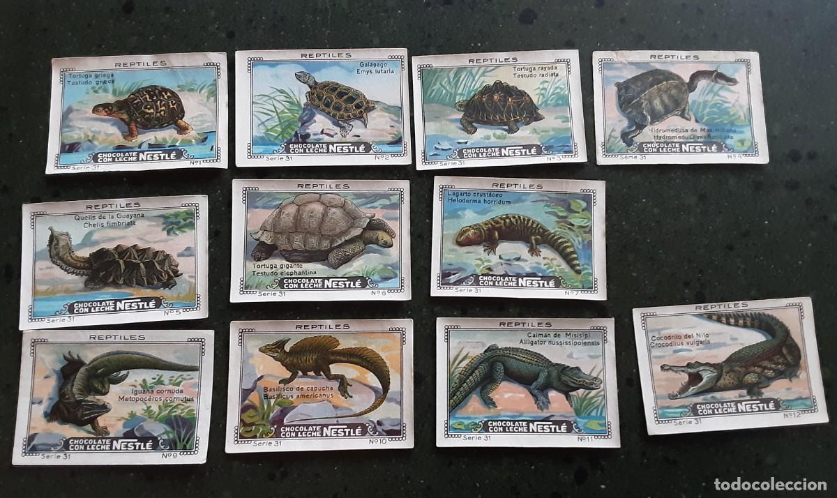 Coleccionismo cromos antiguos: Nestl&eacute; tomo uno, serie 31 reptiles , incompleta once cromos