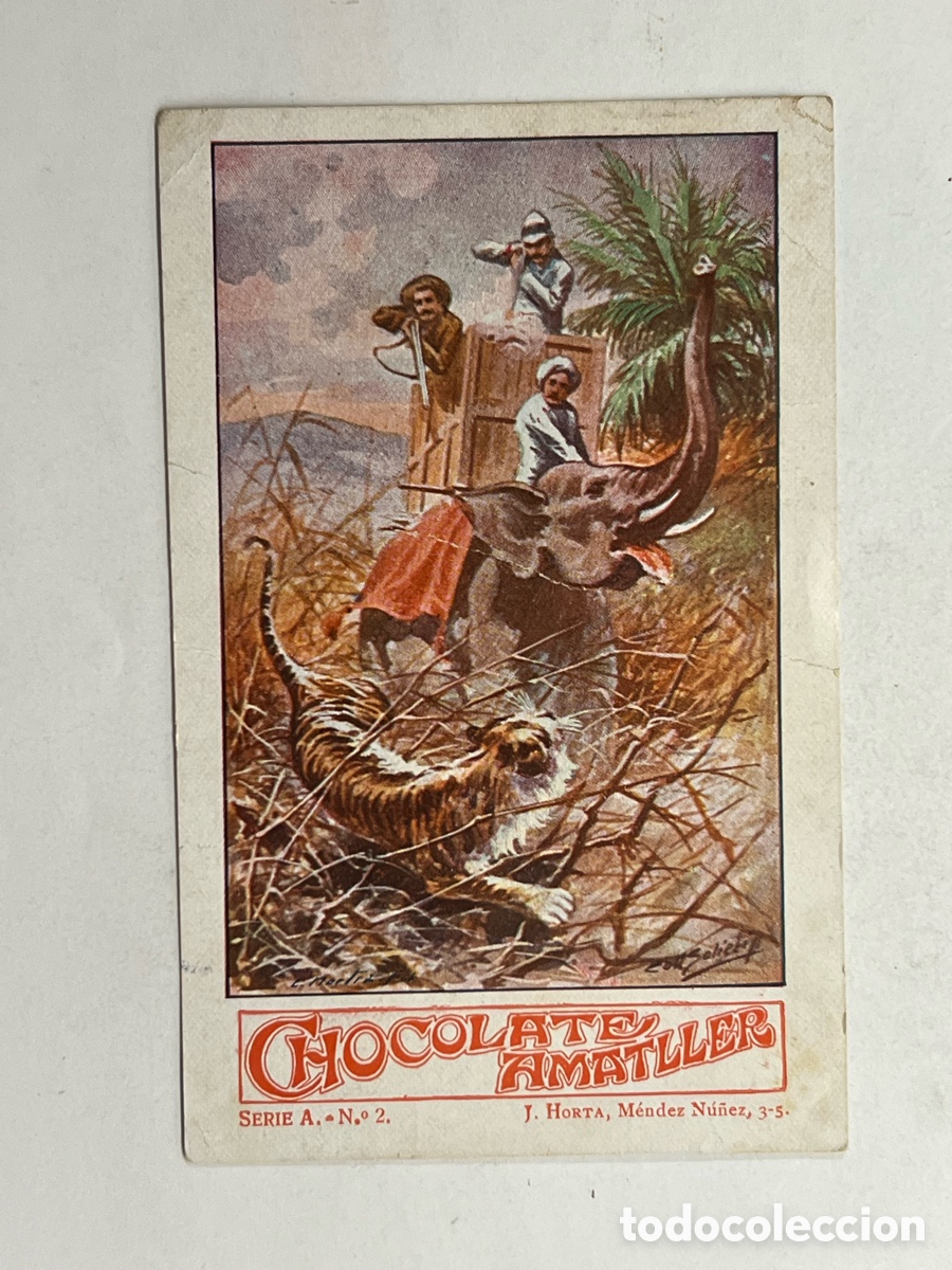 Coleccionismo cromos antiguos: CHOCOLATE AMATLLER.. TIGRE, Serie A, No.2