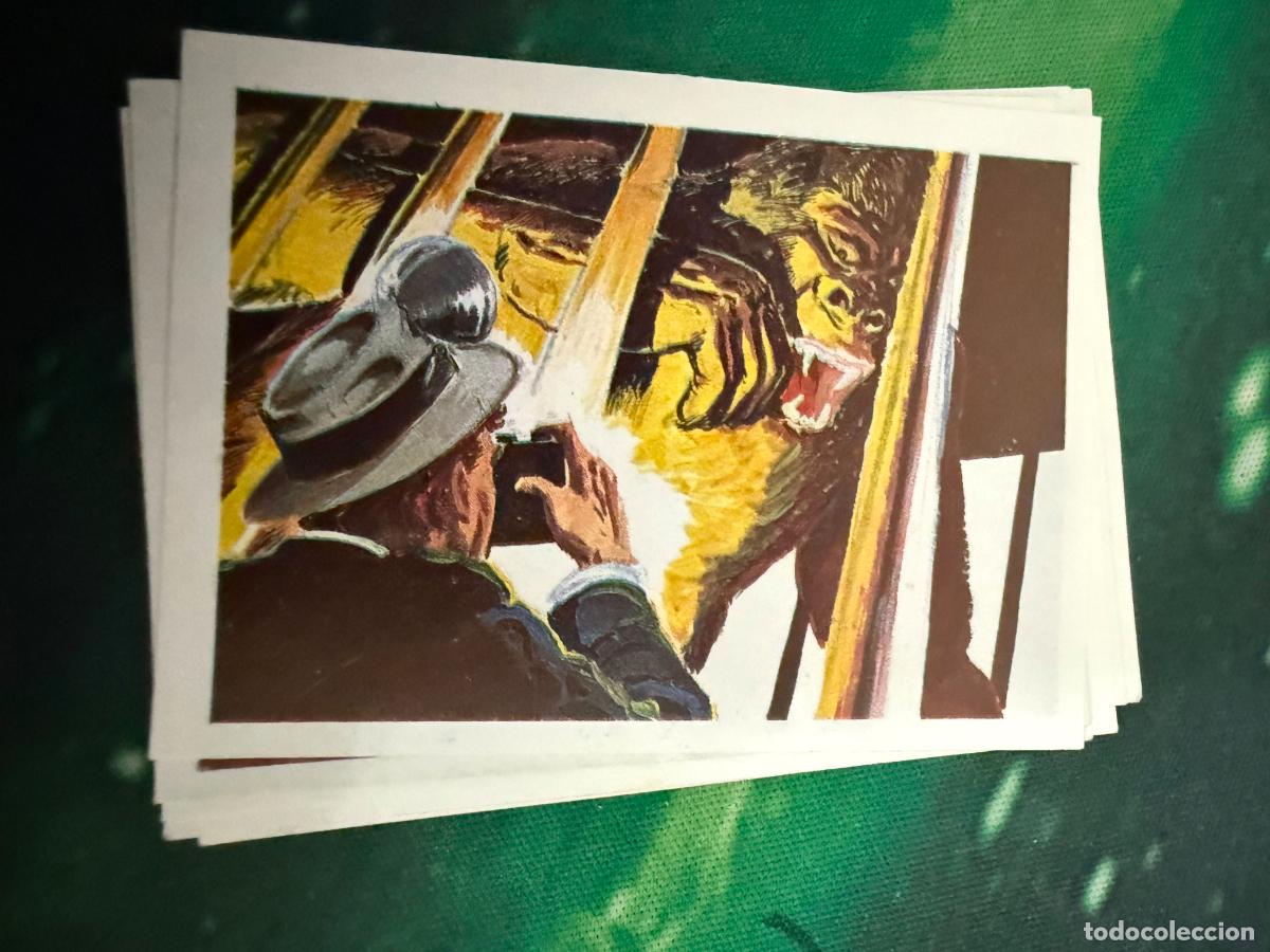 Sammeln alte Sammelbilder: HISTORIAS DE TERROR EDITORIAL EDIVERSA NUMERO 191 NUEVO SIN USO