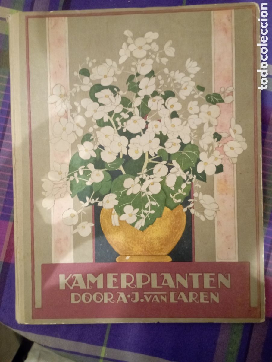 Coleccionismo cromos antiguos: Album cromos Verkade &rdquo;plantas de interior&rdquo; 1928 completo