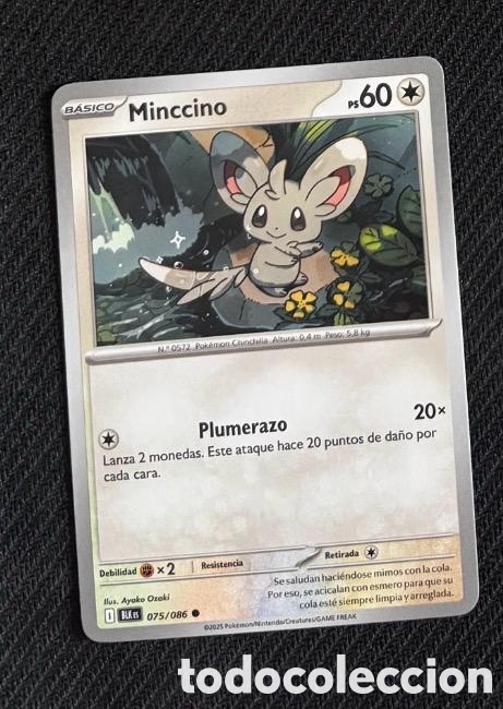 Coleccionismo cromos antiguos: 075/086 Minccino Carta POKEMON TCG