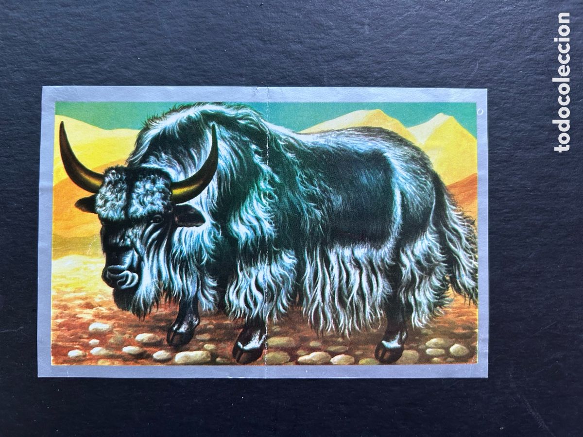Coleccionismo cromos antiguos: ANIMALES Y MINERALES. ED. MAGA 1970. CROMO N&ordm; 230