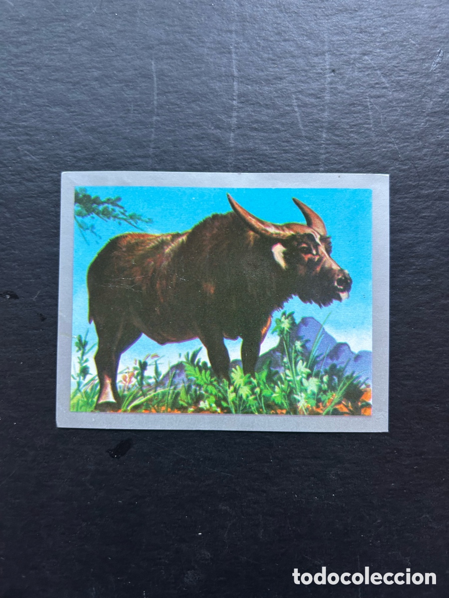 Coleccionismo cromos antiguos: ANIMALES Y MINERALES. ED. MAGA 1970. CROMO N&ordm; 232