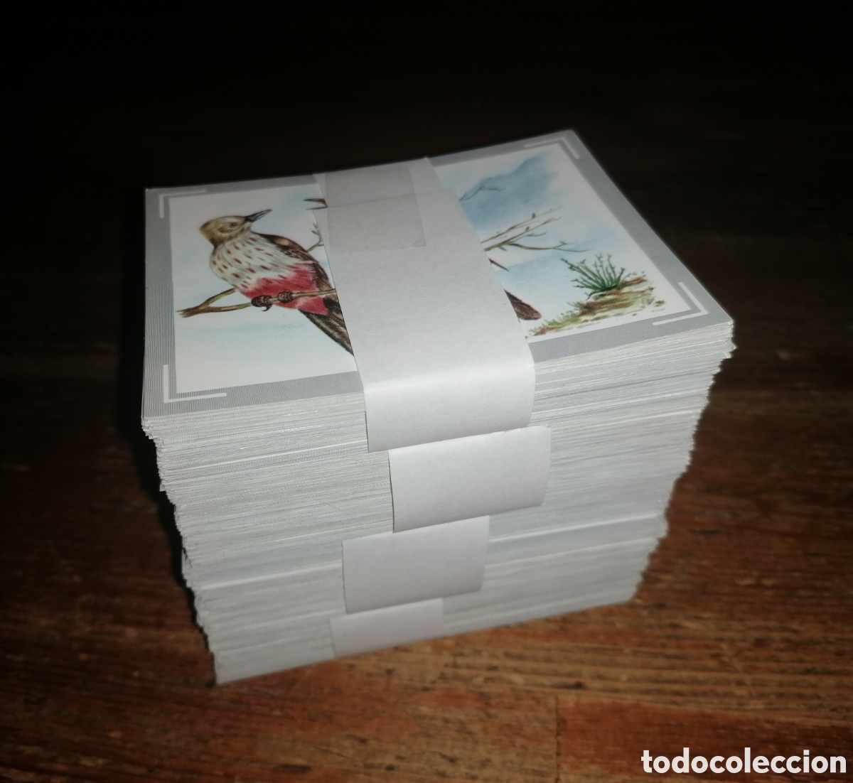Coleccionismo cromos antiguos: Enorme lote de antiguos cromos VIDA Y COLOR - Editorial MAGA
