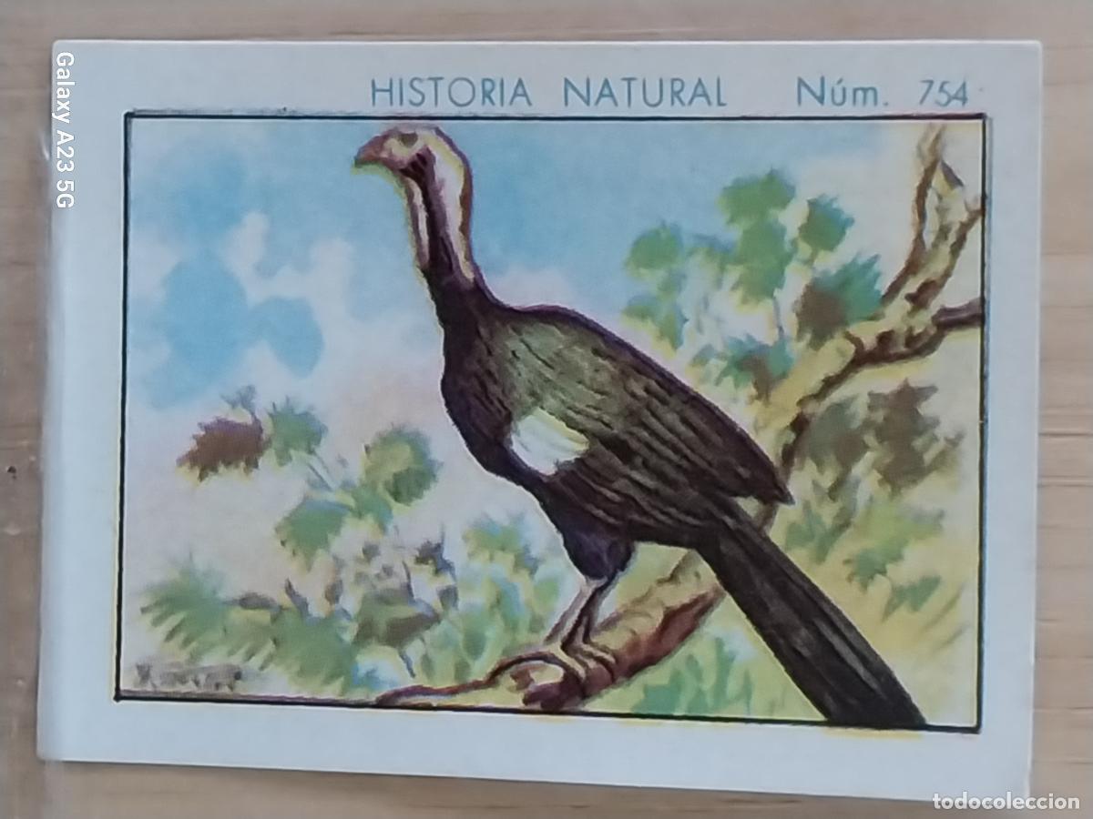 Collezionismo Figurine antiche: CHACHALACA CHOCOLATES JUNCOSA CROMO 754 SIN PEGAR NUNCA ******* HISTORIA NATURAL A&Ntilde;O 1935 5X3.5CMS