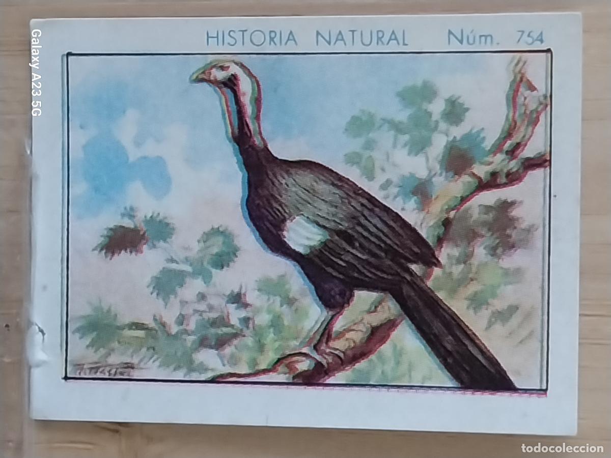 Collezionismo Figurine antiche: CHACHALACA CHOCOLATES JUNCOSA CROMO 754 SIN PEGAR NUNCA ****** HISTORIA NATURAL A&Ntilde;O 1935 5X3.5CMS